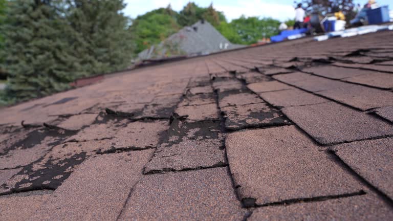 Best Chimney Flashing Repair  in Hudson Oaks, TX