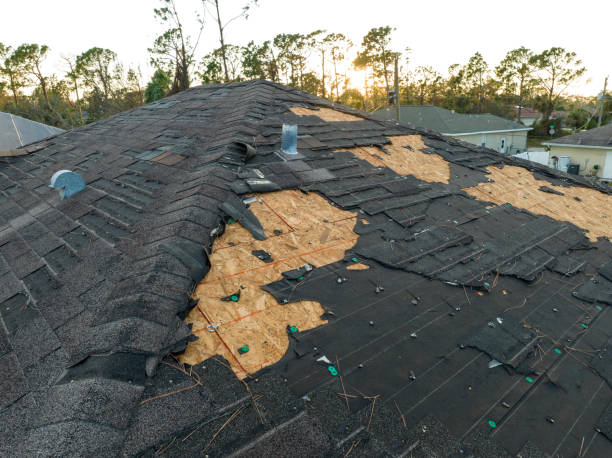 Best Roof Maintenance and Cleaning  in Hudson Oaks, TX
