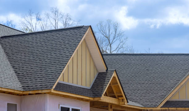 Best Solar Panel Roofing Installation  in Hudson Oaks, TX